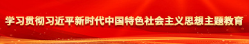 大鸡巴操美美逼网站学习贯彻习近平新时代中国特色社会主义思想主题教育